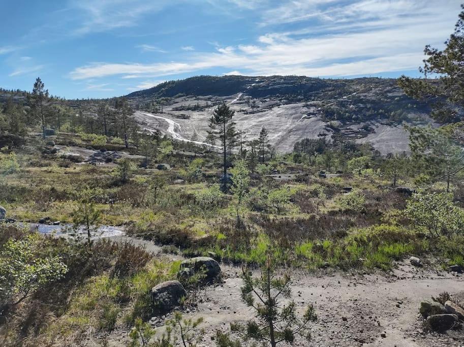 Utleieleilighet 4 Sengeplasser Ski Inn Og Ut Drangedal Exterior foto