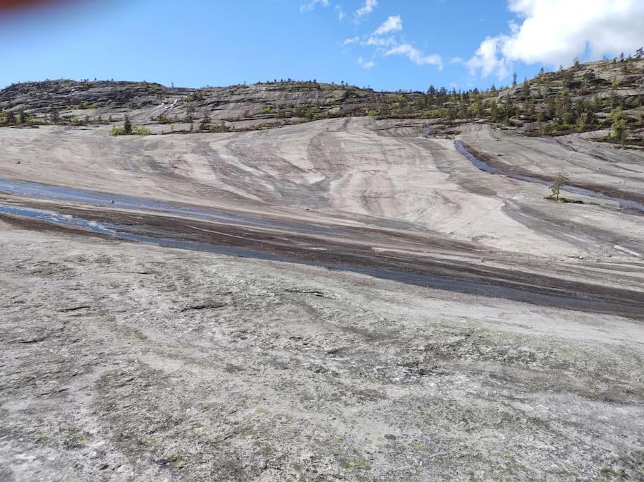 Utleieleilighet 4 Sengeplasser Ski Inn Og Ut Drangedal Exterior foto